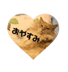 うめと仲間たち（個別スタンプ：20）