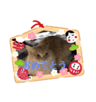 うめと仲間たち（個別スタンプ：21）