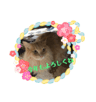 うめと仲間たち（個別スタンプ：22）