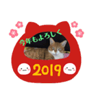 うめと仲間たち（個別スタンプ：23）