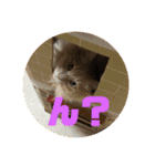 うめと仲間たち（個別スタンプ：24）