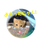 ねこちん's5（個別スタンプ：9）