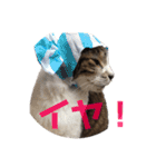 ☆さっちゃん先輩☆（個別スタンプ：8）