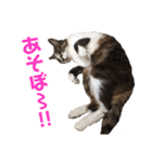 ☆さっちゃん先輩☆（個別スタンプ：9）