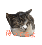 ☆さっちゃん先輩☆（個別スタンプ：10）