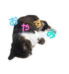 ☆さっちゃん先輩☆（個別スタンプ：11）