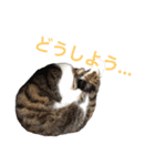☆さっちゃん先輩☆（個別スタンプ：12）