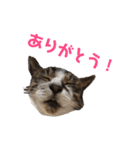 ☆さっちゃん先輩☆（個別スタンプ：16）