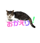 ☆さっちゃん先輩☆（個別スタンプ：17）