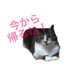 ☆さっちゃん先輩☆（個別スタンプ：18）