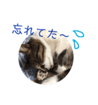 ☆さっちゃん先輩☆（個別スタンプ：19）