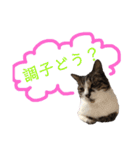 ☆さっちゃん先輩☆（個別スタンプ：20）