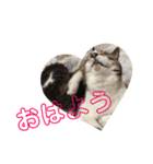 ☆さっちゃん先輩☆（個別スタンプ：21）
