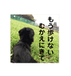 ペけとみるくと、ときどきぺぺ（個別スタンプ：24）