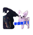 ペけとみるくと、ときどきぺぺ（個別スタンプ：27）