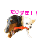 ペけとみるくと、ときどきぺぺ（個別スタンプ：40）