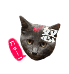 ねこのみみ＊日常会話＊（個別スタンプ：24）