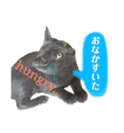 ねこのみみ＊日常会話＊（個別スタンプ：30）