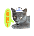 ねこのみみ＊日常会話＊（個別スタンプ：34）
