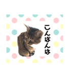 うちの子の猫の日常会話（個別スタンプ：4）