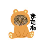 うちの子の猫の日常会話（個別スタンプ：8）