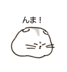 ハムスター ゴーゴーちゃんのスタンプ（個別スタンプ：13）