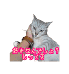 秋山るう、時々こまち（個別スタンプ：7）