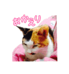 秋山るう、時々こまち（個別スタンプ：9）