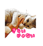 秋山るう、時々こまち（個別スタンプ：15）