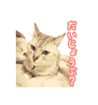 秋山るう、時々こまち（個別スタンプ：19）