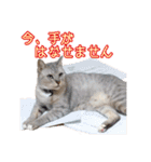 秋山るう、時々こまち（個別スタンプ：21）