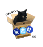 黒猫MOMOの会話スタンプ（個別スタンプ：3）