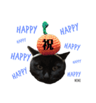 黒猫MOMOの会話スタンプ（個別スタンプ：12）