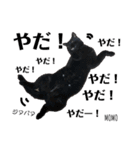 黒猫MOMOの会話スタンプ（個別スタンプ：15）
