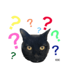 黒猫MOMOの会話スタンプ（個別スタンプ：23）