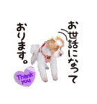 -まりん-（個別スタンプ：1）