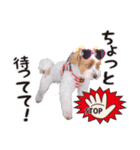-まりん-（個別スタンプ：2）