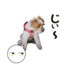 -まりん-（個別スタンプ：3）