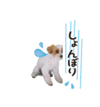 -まりん-（個別スタンプ：5）