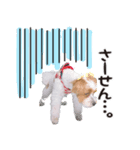 -まりん-（個別スタンプ：6）