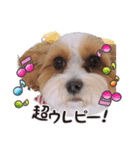 -まりん-（個別スタンプ：7）