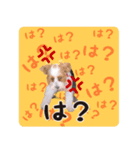 -まりん-（個別スタンプ：8）