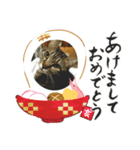 うめたんのお正月（個別スタンプ：1）