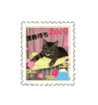 うめたんのお正月（個別スタンプ：2）