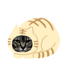 うめたんのお正月（個別スタンプ：3）