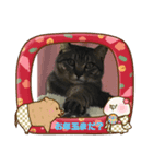 うめたんのお正月（個別スタンプ：7）