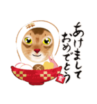 アビにゃん 顔アップ 1（個別スタンプ：40）