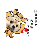 pomemeちゃん（個別スタンプ：2）