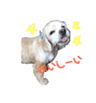 めるくんのスタンプ（個別スタンプ：5）