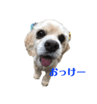 めるくんのスタンプ（個別スタンプ：9）